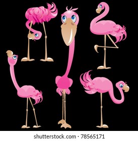 Flamingos cartoons