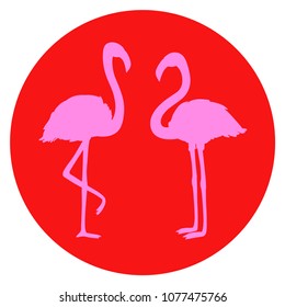 Flamingos. Circle web icon on isolation white background. Cartoon birds