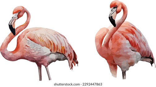 Flamingos clipart, isolated vector illustration.