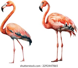 Flamingos clipart, isolated vector illustration.