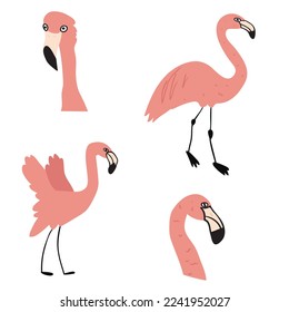 Flamingos. Collection of birds. Flat vector illustrations on white background.  