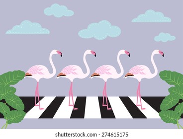 flamingos crossing zebra crossing vector