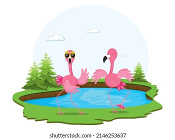 flamingos dancing by the lake