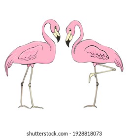 Flamingos in different poses. Cartoon flamingos. Set of flat color illustrations. Clipart elements.