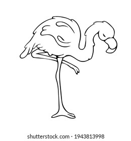 Flamingos. Doodle. Contour bird. Sleepy Flamingo