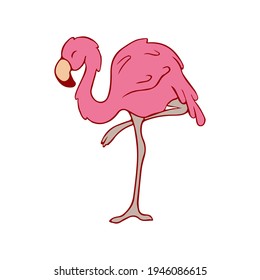 Flamingos. Doodle. Tropical bird of pink color. Flamingo on one leg. Stock illustration