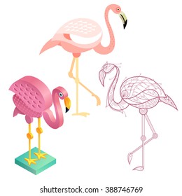 Flamingos. Flat icon, template for adult coloring, isometric view. Set of vector birds in different unusual style. Illustration collection of images animals isolated on white background.
