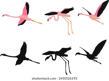 flamencos conjunto volador sobre fondo blanco Vector