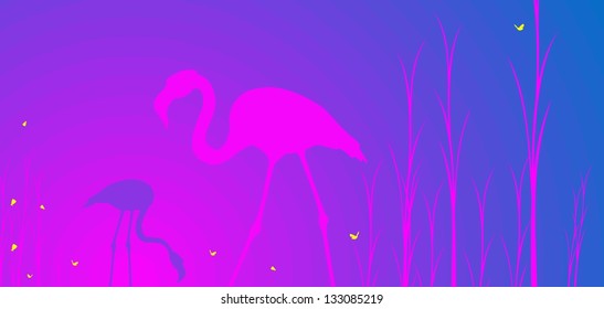 Flamingos in the lake