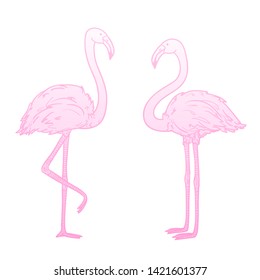 Flamingos on isolated white. Colored cartoon birds. Illustration for polygraphy, banners, t-shirts and textiles