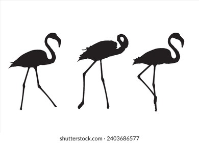 Flamingos en el paseo. Imagen vectorial. Fondo blanco.