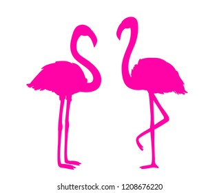 Flamingos on white. Colored cartoon birds. Bright image. Illustration for polygraphy, banners, t-shirts and textiles