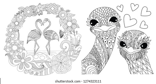 Flamingos and ostriches couples set for card, invitation and coloring book,coloring page or coloring picture. Vector illustration