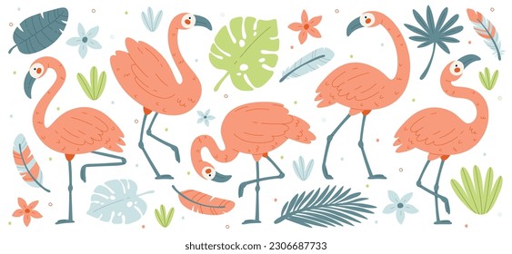 Flamingos poses flat illustrations set. Bird with pink plumage and long legs and neck. Design elements of feathers, tropical leaves and exotic flowers