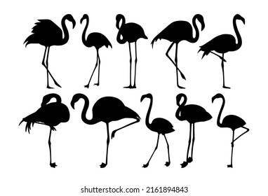 Flamingos, set illustrations on a white background. svg