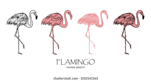 Flamingos set. Pen style vector illustration. Different styles of one. Vector objects.
