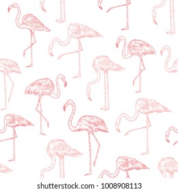Flamingos esboza la ilustración vectorial de estilo. Elemento de patrón transparente.