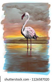 flamingos standing in the pond on the order, sketch vector graphics color illustration on white background