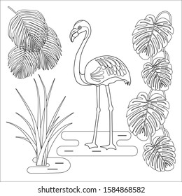 Flamingos surrounded by palm leaves, monsters and sedge. Picture for coloring. Contour vector image.
