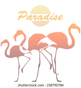 Flamingos and tropical palm tree on a white background 