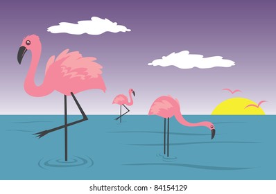 Flamingos in the water with sunset in the background.