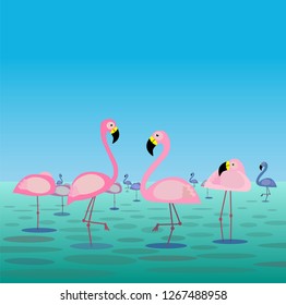 Flamingos in water, vector illustration.