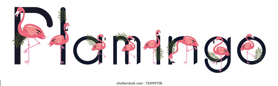 Word Flamingo Images, Stock Photos & Vectors  Shutterstock