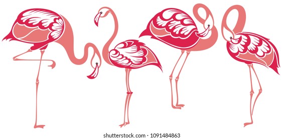 Flamingo.Tropical Bird Flamingos