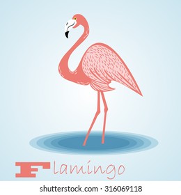 Flamingo.Vector