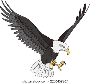 The flapping bald eagle isolated on white background