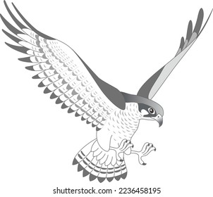 The flapping falcon isolated on white background