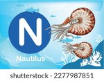 Flash card: the education tools - Alphabet A-Z card N-Nautilus, a cephalopod mollusk with a light external spiral shell and numerous short tentacles around the mouth
