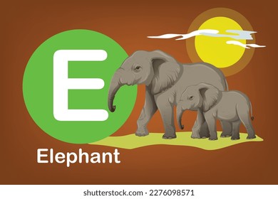 Flash card: the education tools - Alphabet A-Z card E-Elephant, the biggest mammal animal in the world	