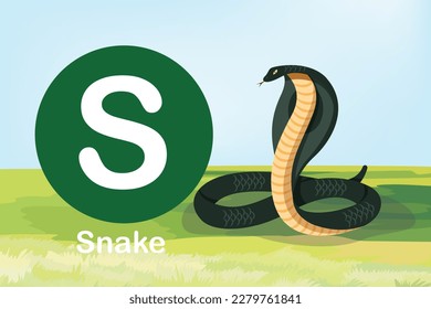 Tarjeta flash: las herramientas educativas - tarjeta Alphabet A-Z S-Snake, un reptil largo y sin párpados, cola corta, mandíbulas que son capaces de una extensión considerable. Algunas serpientes tienen un mordisco venenoso.
