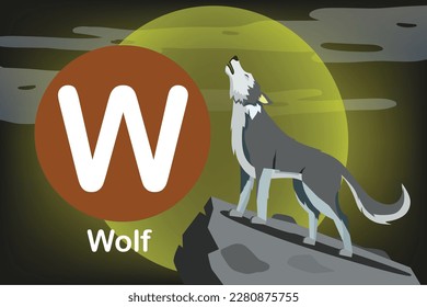 Flash card: the education tools - Alphabet A-Z card W-Wolf, a wild carnivorous mammal of the dog family, living and hunting in packs. It is native to both Eurasia and North America.