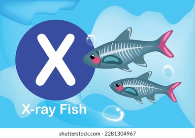 Flash card: the education tools - Alphabet A-Z card X-X-ray fish, a small schooling aquatic fish native to the Amazon basin in South America. 