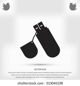  flash drive icon
