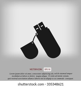  flash drive icon