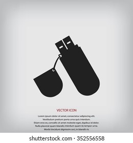  flash drive icon