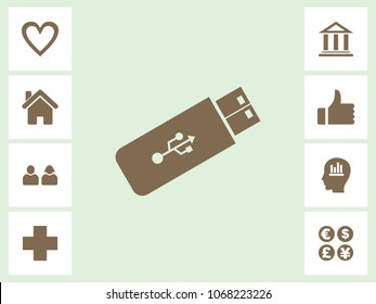 Flash Drive Icon With Bonus Icons. Eps-10.