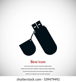 flash drive icon, flat design best vector icon