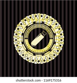 flash drive icon inside gold badge
