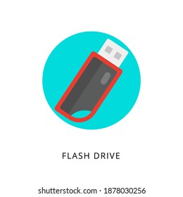 Flash Drive icon in vector. Logotype