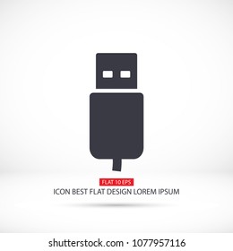 Flash drive  vector icon 
