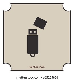 Flash drive vector icon