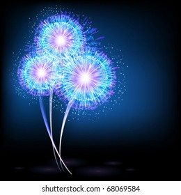 Flash of fireworks. Vector.
