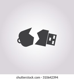 Flash icon.