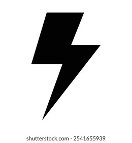 Flash icon Black and white outline vector