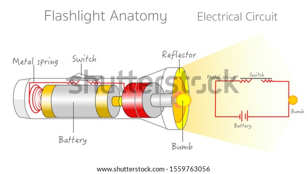 Flash Light Anatomy Electrical Closed Circuit Stock Vector Royalty Free 1559763056