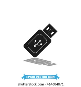 Flash memory icon vector.